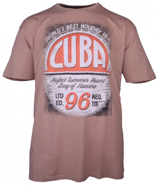 XXL4YOU - T-shirt manches courtes Melange de Beige  3XL a 8XL