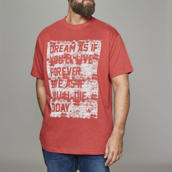 XXL4YOU - T-shirt manches courtes James Dean  rouge 3XL a 8XL