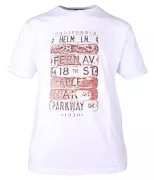 T-shirt manches Courtes blanc 3XL à 8XL - Plates