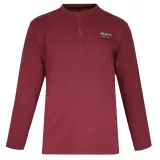 T-shirt manche longue boutonné prune 3XL à 8XL - 360°