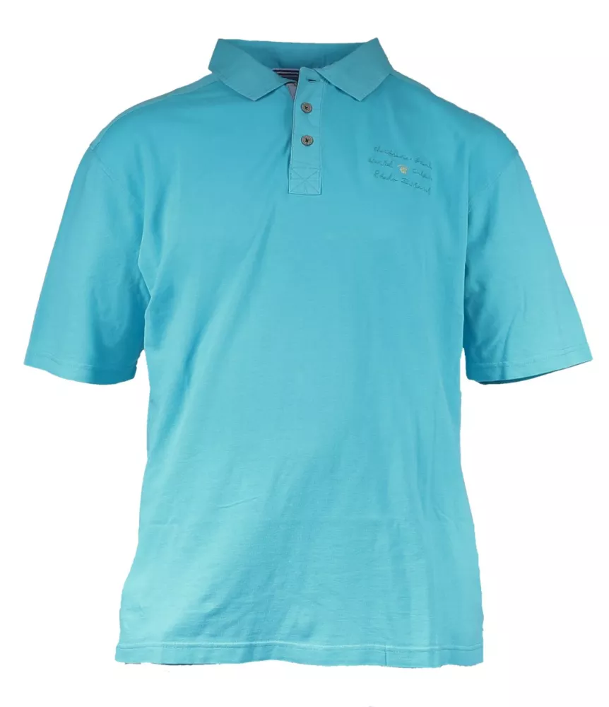 Polo piqué manches courtes bleu clair de 3XL à 5XL-3XL
