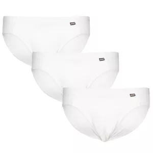 Slip de qualité (Pack de 3)  blanc-T8