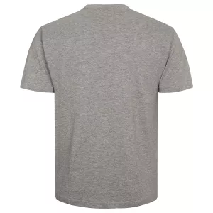 T-shirt gris chiné Col rond North basic-6XL