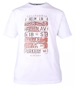 T-shirt manches Courtes blanc 3XL à 8XL - Plates
