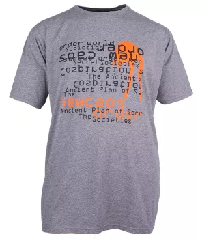 T-shirt manches Courtes gris clair 3XL