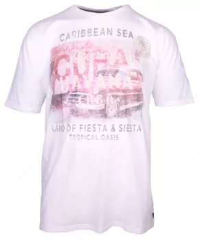 T-shirt manches courtes blanc 7XL