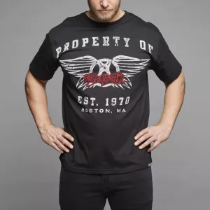 T-shirt Rock Aerosmith noir