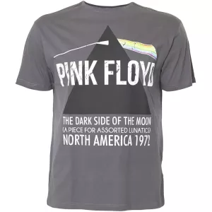 T-shirt Pink Floyd Replika Jeans Gris
