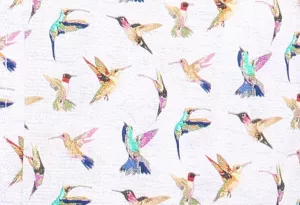 Chemise colibris blanche manches courtes imprimée-5XL
