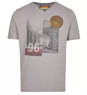 T-shirt col V Mélange de gris imprimé nature 96
