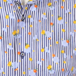 Chemise Eden Valley motifs lignée bleu-6XL