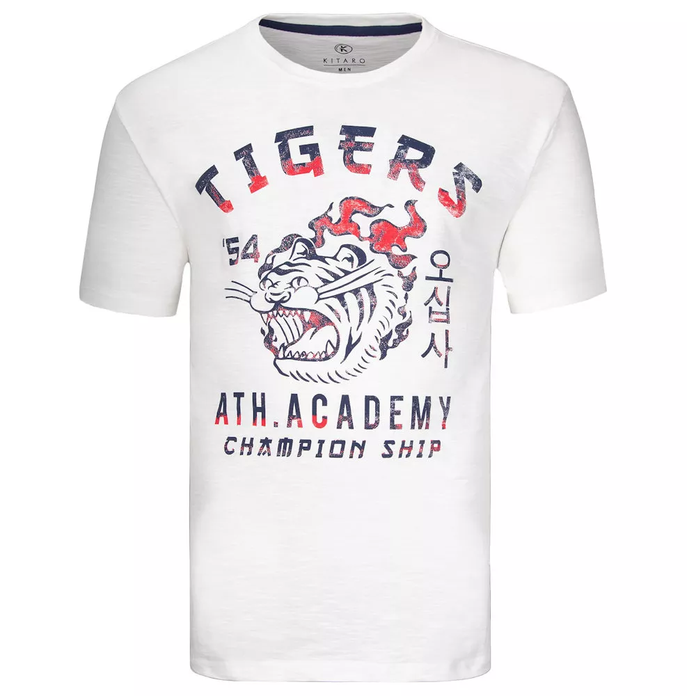 T-shirt manche courte Mélange de gris clair 3XL à 7XL-3XL