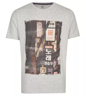 T-shirt manche courte Mélange de gris clair 3XL à 8XL