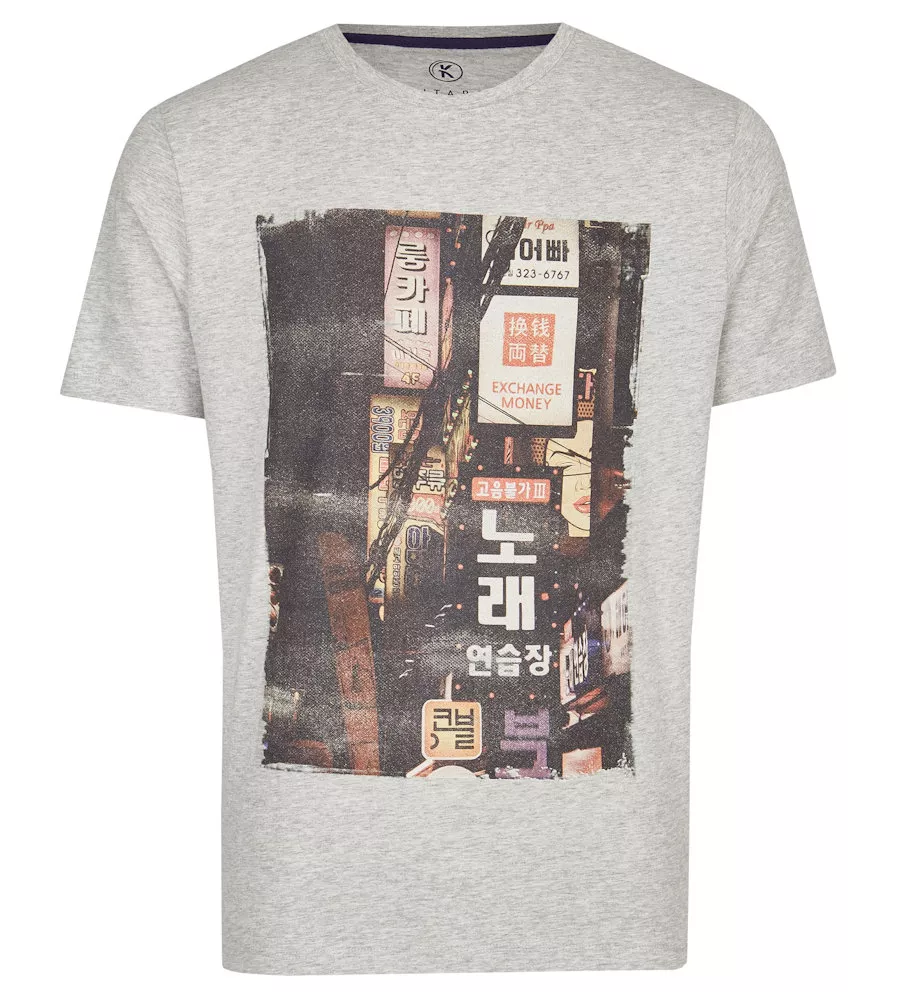 T-shirt manche courte Mélange de gris clair 3XL à 8XL-7XL