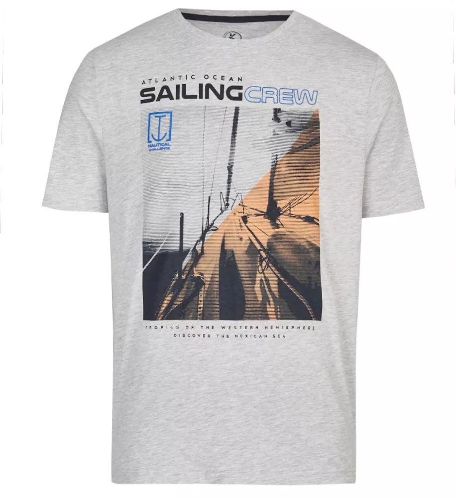 T-shirt manche courte gris argenté 3XL à 6XL-4XL