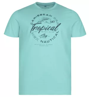 T-shirt manche courte turquoise 3XL et  5XL-5XL