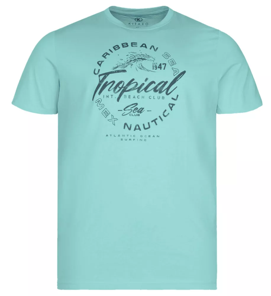 T-shirt manche courte turquoise 3XL et  5XL-5XL