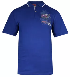 Polo manche courte bleu royal de 3XL à 6XL