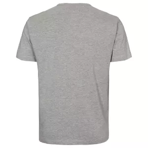 T-shirt Stay Salty & Sail Voyagers Mélange de gris clair-2XL