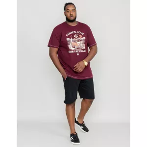 T-shirt D555 VW Sennen Cove Aubergine -6XL
