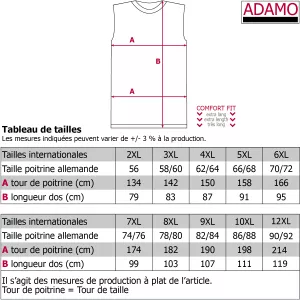 Tee-shirt sans manche bleu admiral Sunset California-4XL