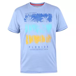 T-shirt D555 palmiers Floride Mélange de bleu clair