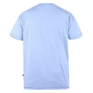 T-shirt D555 palmiers Floride Mélange de bleu clair-5XL