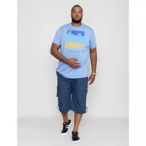 T-shirt D555 palmiers Floride Mélange de bleu clair-5XL
