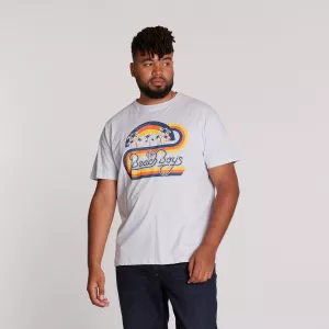 T-shirt Beach Boys bleu clair imprimé rétro-3XL