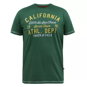 T-shirt vert manche courte 3XL à 6XL - California