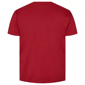 T-shirt North 56 4 Carmin imprimé Authentic Nordic-5XL