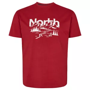 T-shirt North 56°4 Carmin motif montagne
