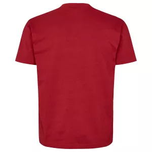 North 56°4 T-shirt manche courte Carmin 3XL à 8XL - Mountain-7XL