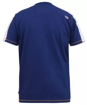 T-shirt imprimé Florida bleu royal-4XL