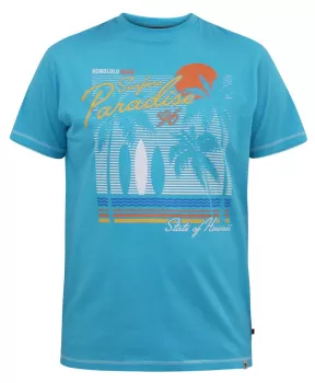T-shirt turquoise manche courte 3XL à 6XL -  Surfers Paradise