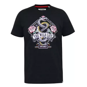 T-shirt noir manche courte 3XL à 6XL - Malcom