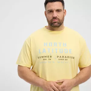 North 56°4 T-shirt manche courte Jaune clair 3XL à 10XL-9XL
