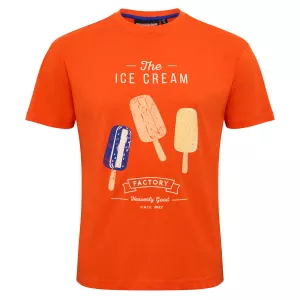 T-shirt manche courte orange 3XL à 10XL