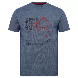 T-shirt ligné bleu  Seek the North
