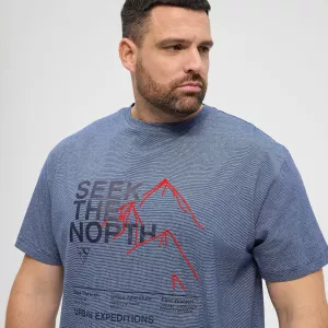 T-shirt ligné bleu  Seek the North-8XL