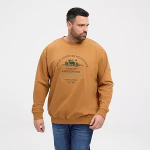 Sweatshirt motif nature Jaune ocre North Latitude-7XL