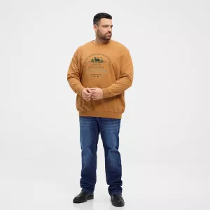 Sweatshirt motif nature Jaune ocre North Latitude-6XL