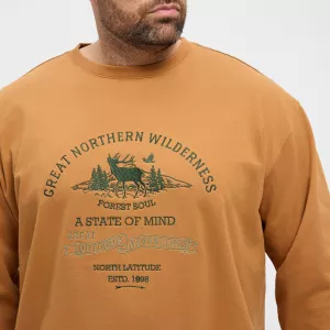 Sweatshirt motif nature Jaune ocre North Latitude-8XL