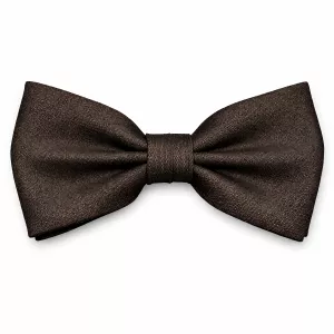 Noeud papillon en soie Taupe