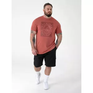 T-shirt D555 Palm Beach surf rouge brique-8XL