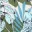 blanc-casse-fleurs-bleues