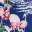 hawaienne-bleue