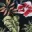 hawaienne-noire