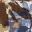 motif-floral-bleu-marron-